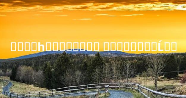 վ�˿�һ���˵��Ը� վ�����Ը�Ĺ�ϵ